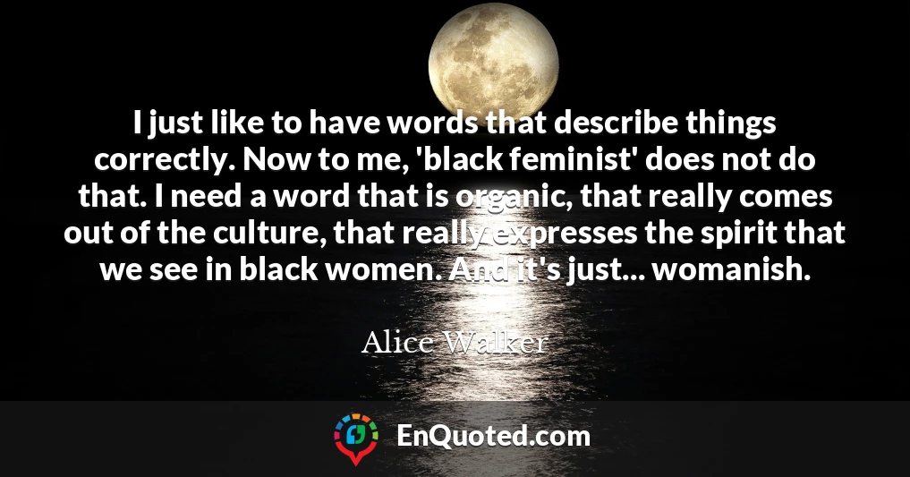 I just like to have words that describe things correctly. Now to me, 'black feminist' does not do that. I need a word that is organic, that really comes out of the culture, that really expresses the spirit that we see in black women. And it's just... womanish.