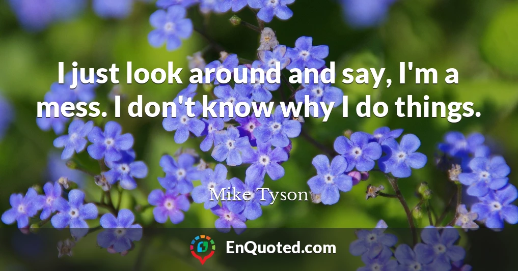 I just look around and say, I'm a mess. I don't know why I do things.