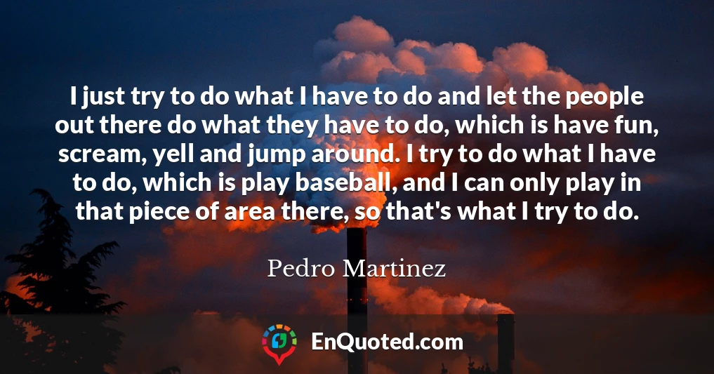 I just try to do what I have to do and let the people out there do what they have to do, which is have fun, scream, yell and jump around. I try to do what I have to do, which is play baseball, and I can only play in that piece of area there, so that's what I try to do.