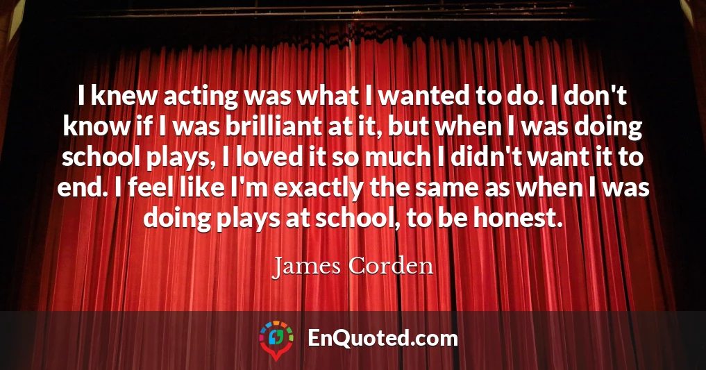 I knew acting was what I wanted to do. I don't know if I was brilliant at it, but when I was doing school plays, I loved it so much I didn't want it to end. I feel like I'm exactly the same as when I was doing plays at school, to be honest.