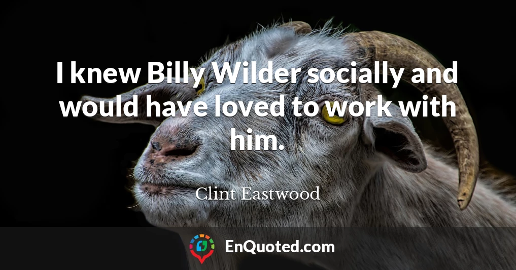 I knew Billy Wilder socially and would have loved to work with him.
