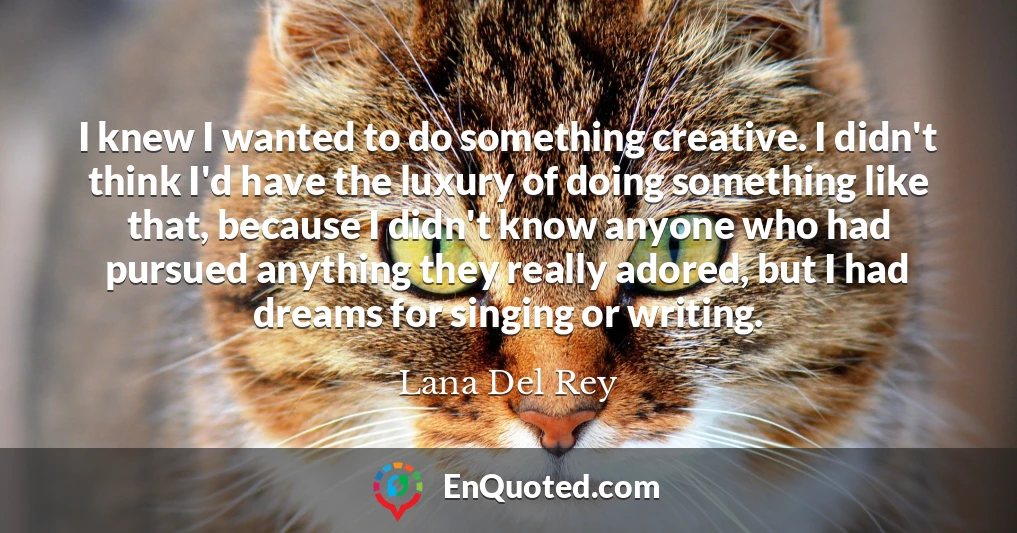 I knew I wanted to do something creative. I didn't think I'd have the luxury of doing something like that, because I didn't know anyone who had pursued anything they really adored, but I had dreams for singing or writing.