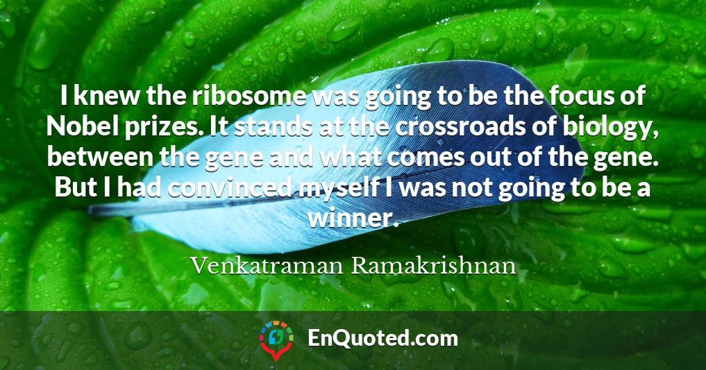 I knew the ribosome was going to be the focus of Nobel prizes. It stands at the crossroads of biology, between the gene and what comes out of the gene. But I had convinced myself I was not going to be a winner.