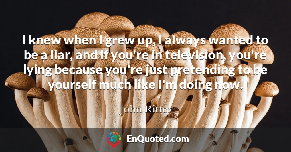 I knew when I grew up, I always wanted to be a liar, and if you're in television, you're lying because you're just pretending to be yourself much like I'm doing now.
