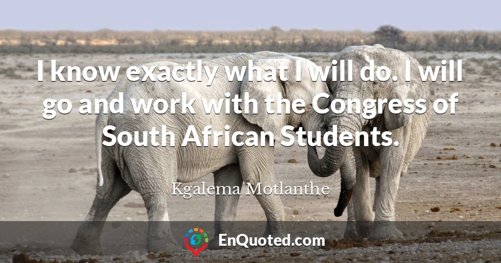 I know exactly what I will do. I will go and work with the Congress of South African Students.