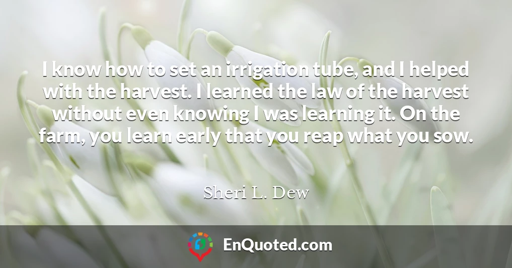 I know how to set an irrigation tube, and I helped with the harvest. I learned the law of the harvest without even knowing I was learning it. On the farm, you learn early that you reap what you sow.