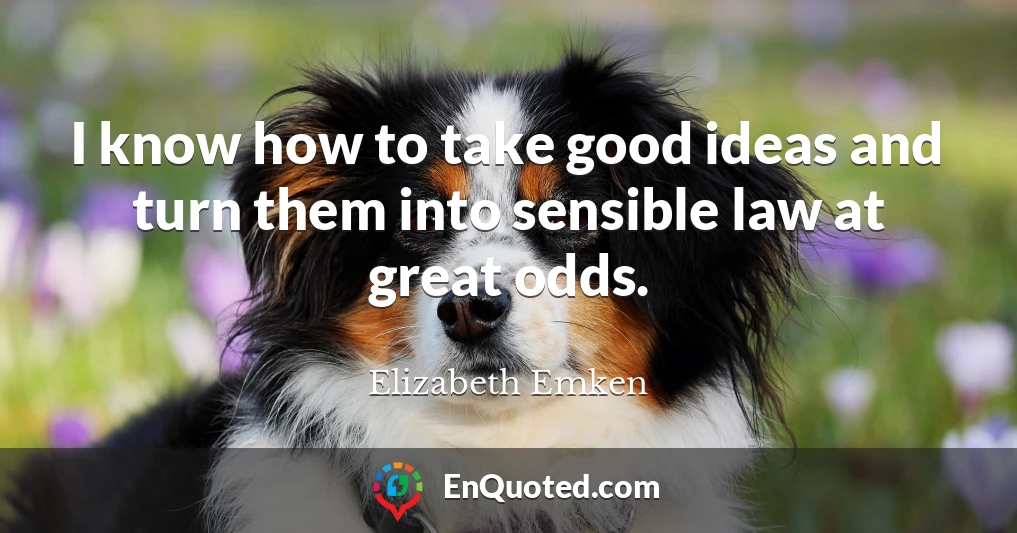 I know how to take good ideas and turn them into sensible law at great odds.