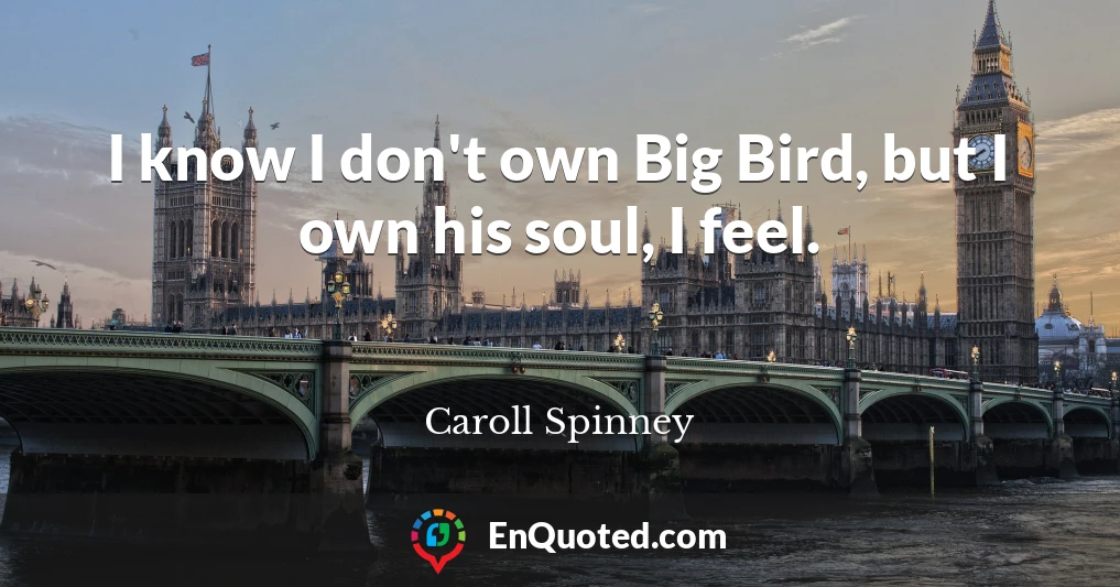 I know I don't own Big Bird, but I own his soul, I feel.
