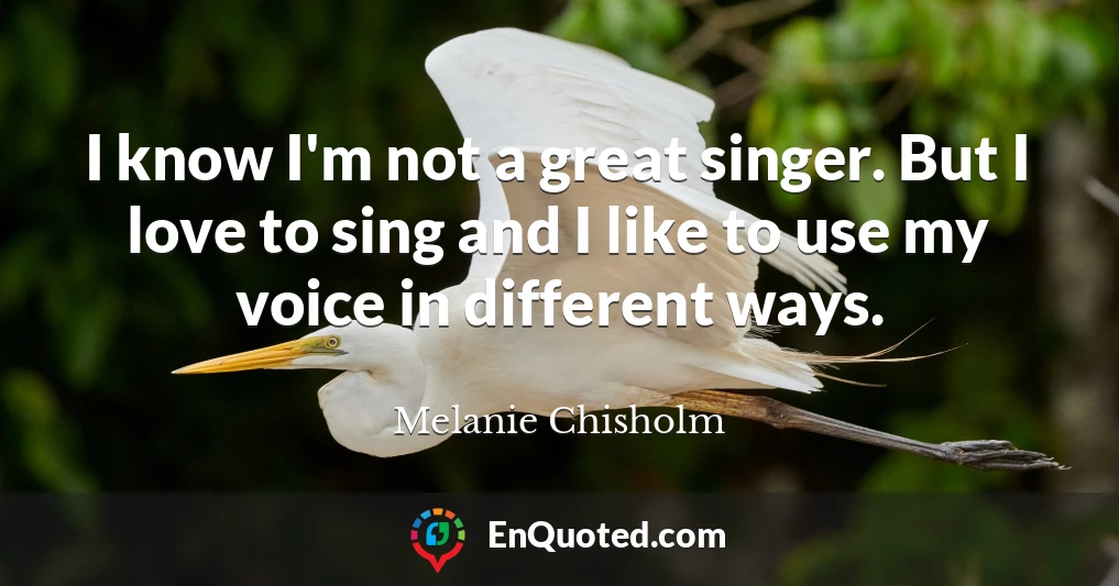 I know I'm not a great singer. But I love to sing and I like to use my voice in different ways.