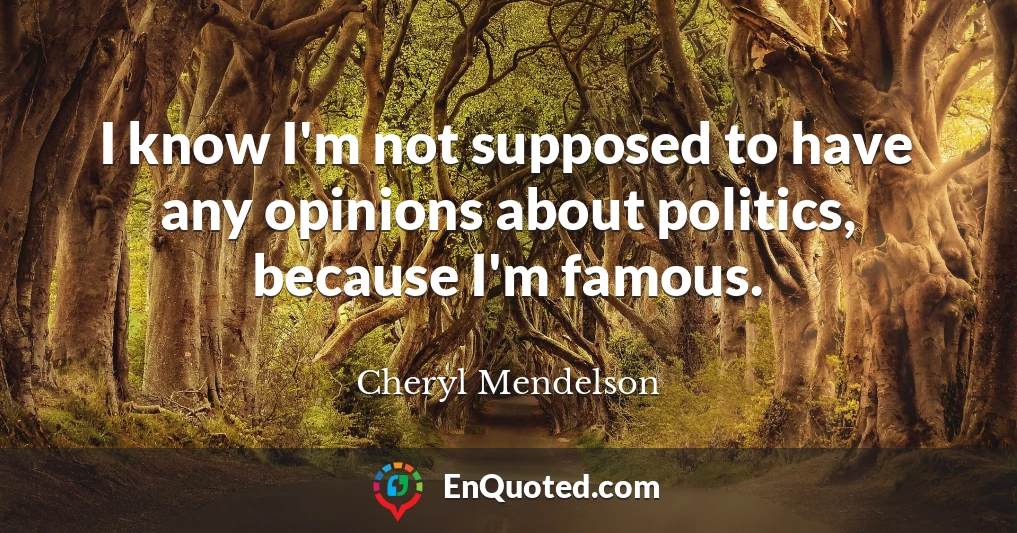 I know I'm not supposed to have any opinions about politics, because I'm famous.
