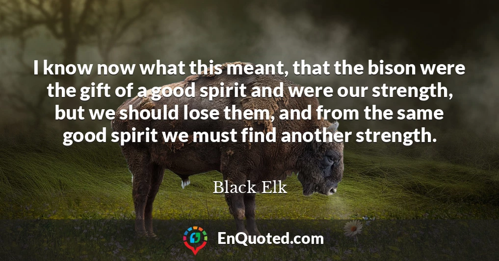 I know now what this meant, that the bison were the gift of a good spirit and were our strength, but we should lose them, and from the same good spirit we must find another strength.