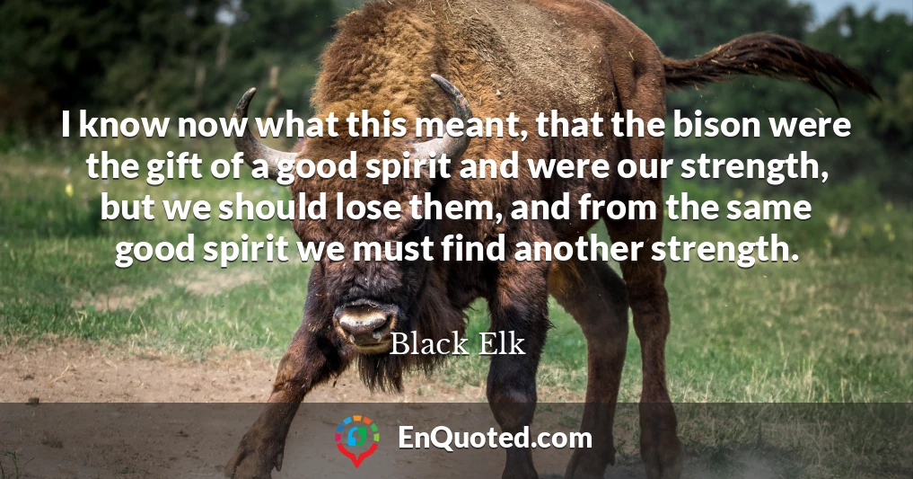 I know now what this meant, that the bison were the gift of a good spirit and were our strength, but we should lose them, and from the same good spirit we must find another strength.