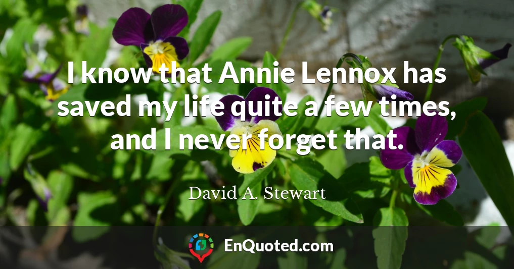 I know that Annie Lennox has saved my life quite a few times, and I never forget that.