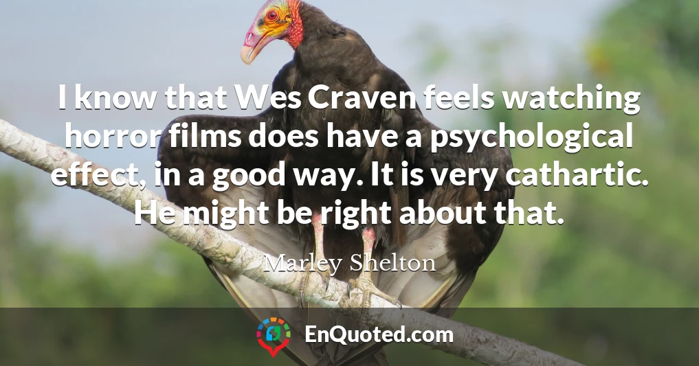 I know that Wes Craven feels watching horror films does have a psychological effect, in a good way. It is very cathartic. He might be right about that.