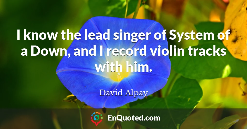 I know the lead singer of System of a Down, and I record violin tracks with him.