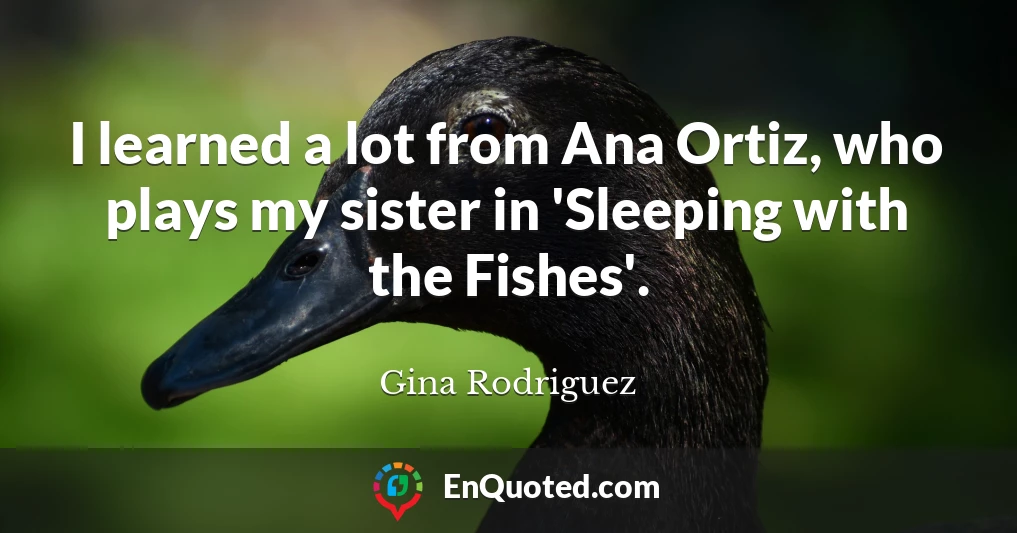 I learned a lot from Ana Ortiz, who plays my sister in 'Sleeping with the Fishes'.