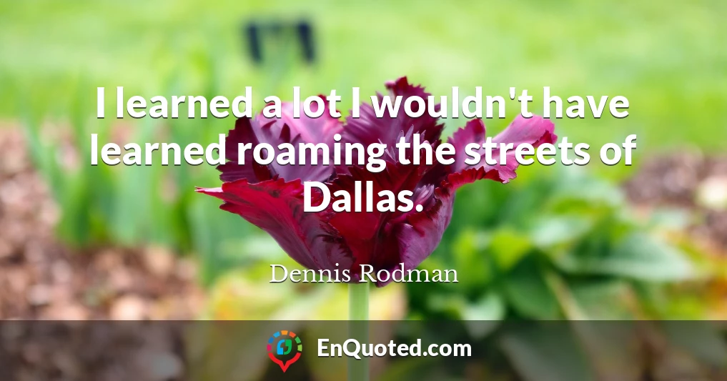 I learned a lot I wouldn't have learned roaming the streets of Dallas.