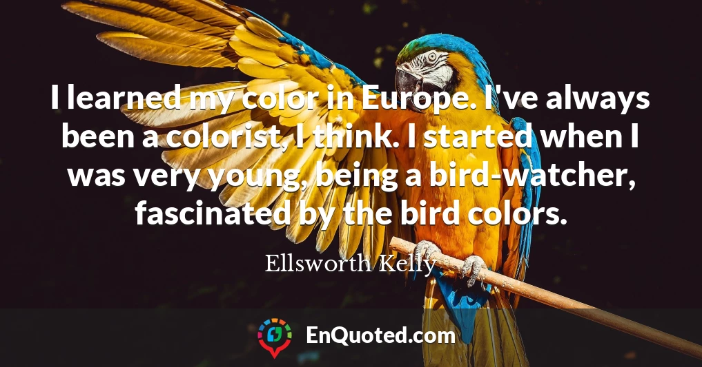 I learned my color in Europe. I've always been a colorist, I think. I started when I was very young, being a bird-watcher, fascinated by the bird colors.
