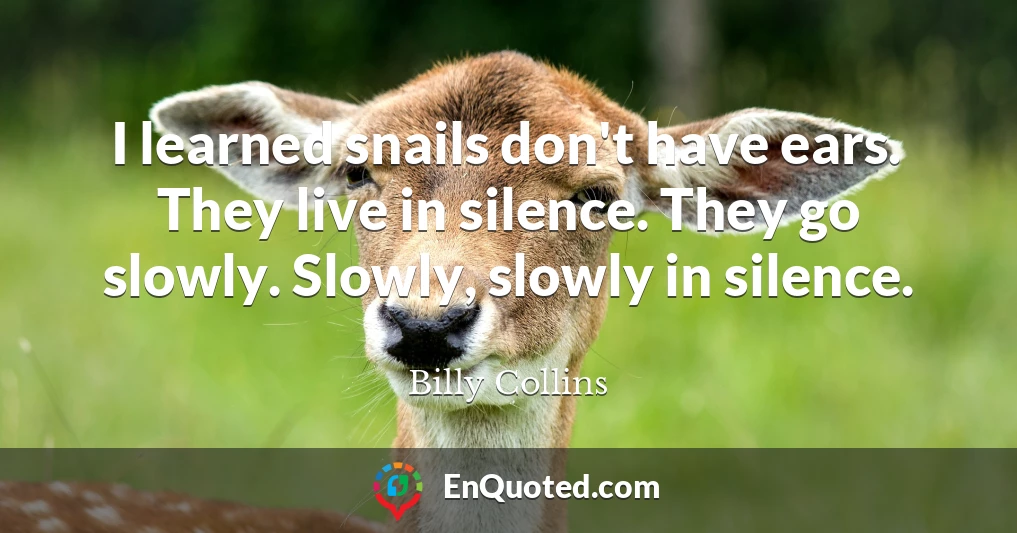 I learned snails don't have ears. They live in silence. They go slowly. Slowly, slowly in silence.