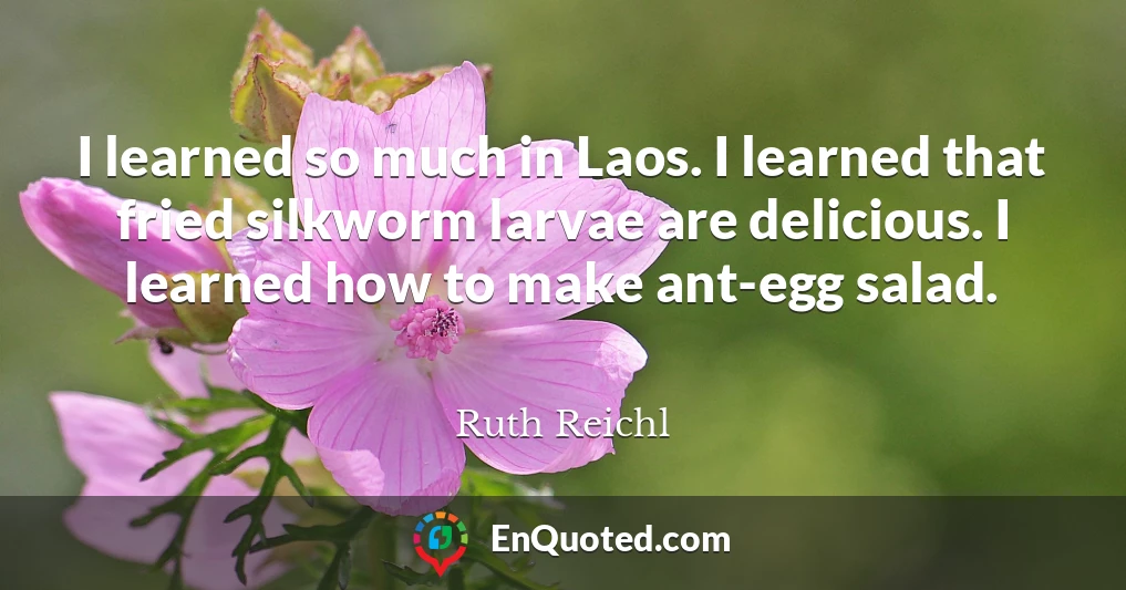 I learned so much in Laos. I learned that fried silkworm larvae are delicious. I learned how to make ant-egg salad.