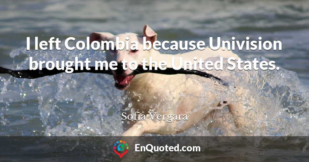 I left Colombia because Univision brought me to the United States.