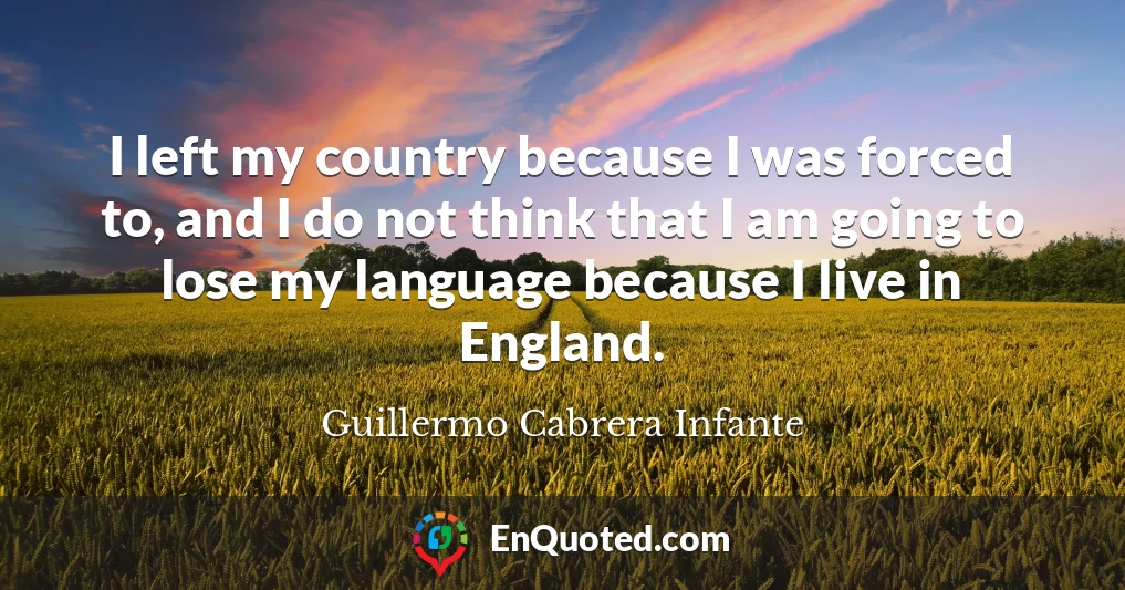 I left my country because I was forced to, and I do not think that I am going to lose my language because I live in England.