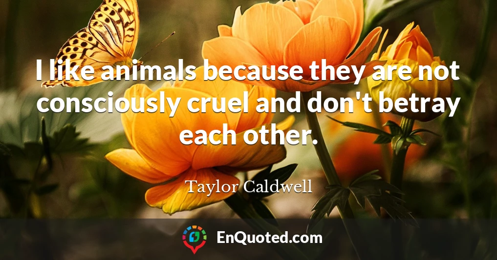 I like animals because they are not consciously cruel and don't betray each other.