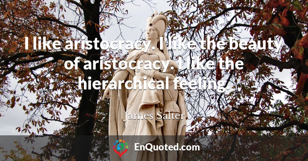 I like aristocracy. I like the beauty of aristocracy. I like the hierarchical feeling.