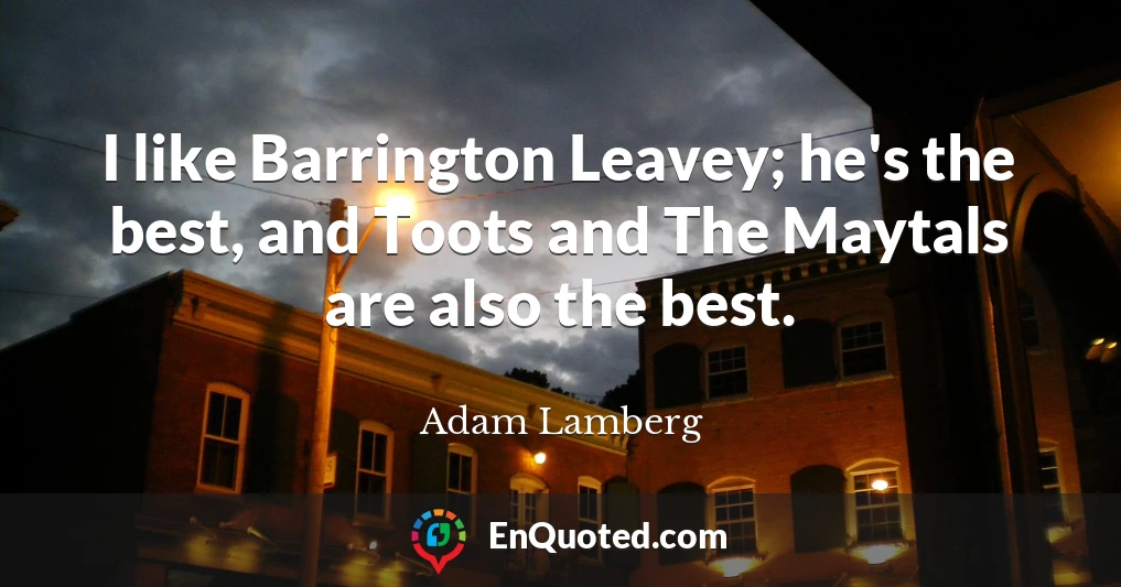 I like Barrington Leavey; he's the best, and Toots and The Maytals are also the best.