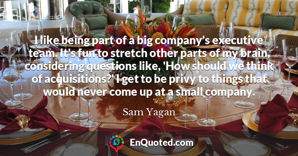 I like being part of a big company's executive team. It's fun to stretch other parts of my brain, considering questions like, 'How should we think of acquisitions?' I get to be privy to things that would never come up at a small company.