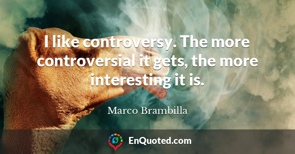 I like controversy. The more controversial it gets, the more interesting it is.