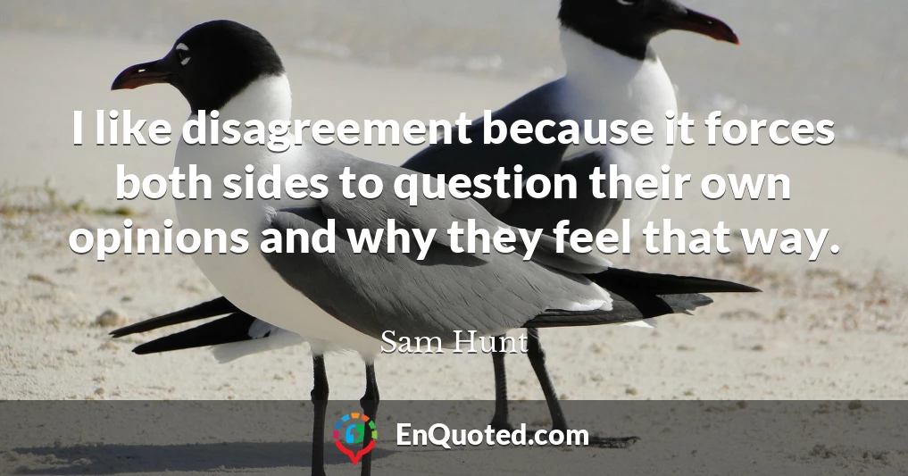 I like disagreement because it forces both sides to question their own opinions and why they feel that way.