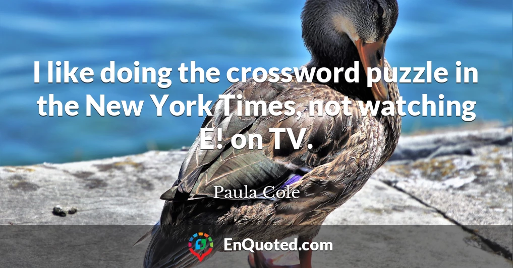 I like doing the crossword puzzle in the New York Times, not watching E! on TV.