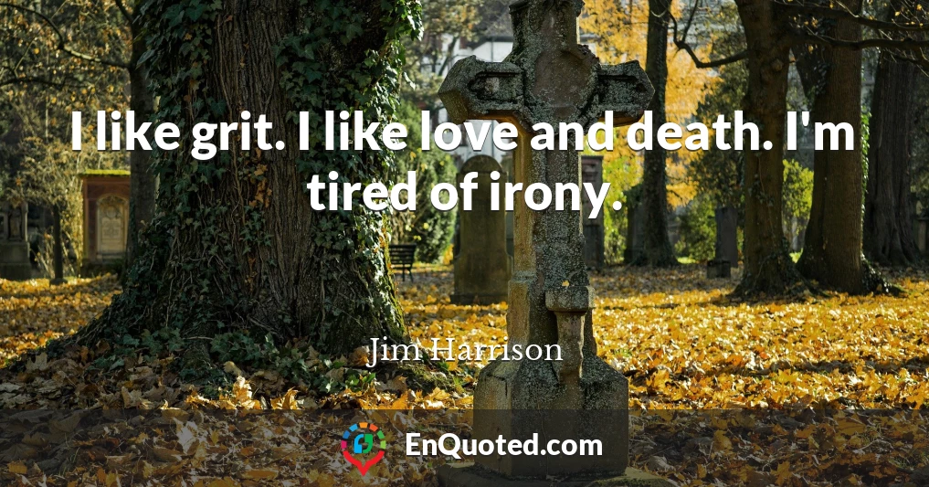 I like grit. I like love and death. I'm tired of irony.