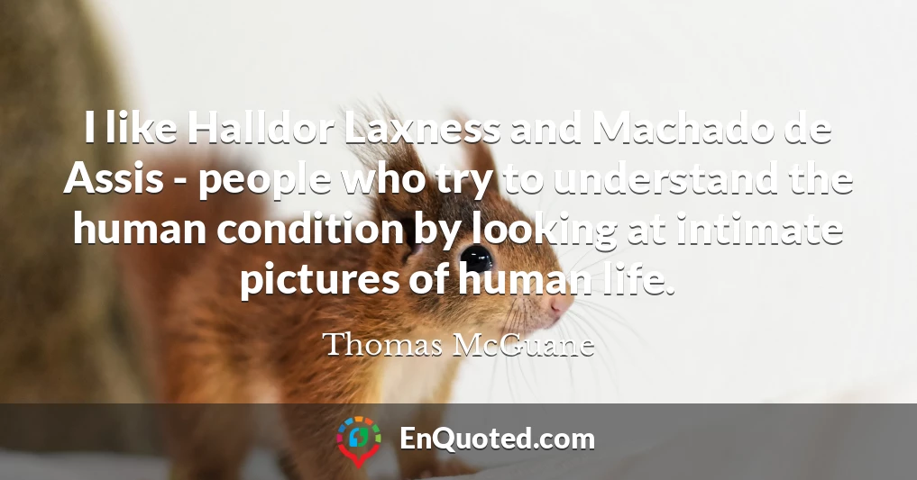 I like Halldor Laxness and Machado de Assis - people who try to understand the human condition by looking at intimate pictures of human life.