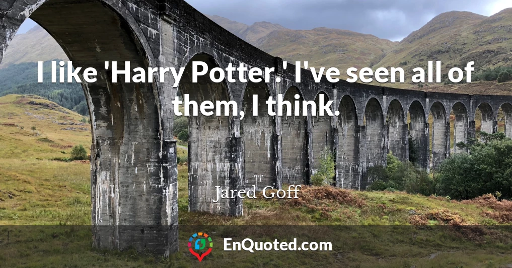 I like 'Harry Potter.' I've seen all of them, I think.