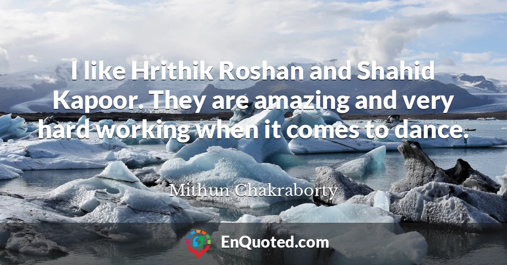 I like Hrithik Roshan and Shahid Kapoor. They are amazing and very hard working when it comes to dance.