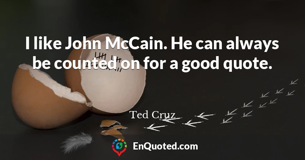 I like John McCain. He can always be counted on for a good quote.