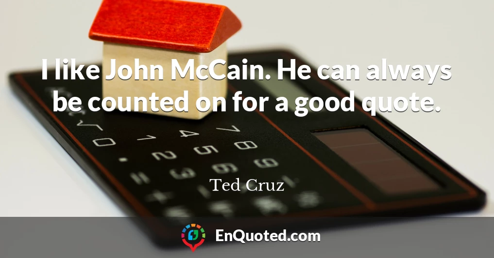 I like John McCain. He can always be counted on for a good quote.