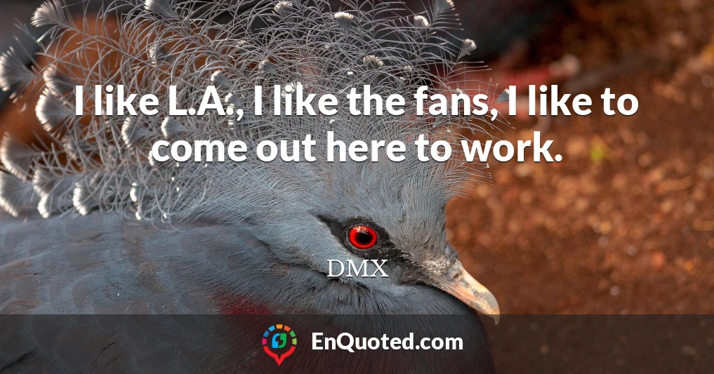 I like L.A., I like the fans, I like to come out here to work.