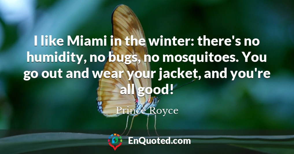 I like Miami in the winter: there's no humidity, no bugs, no mosquitoes. You go out and wear your jacket, and you're all good!