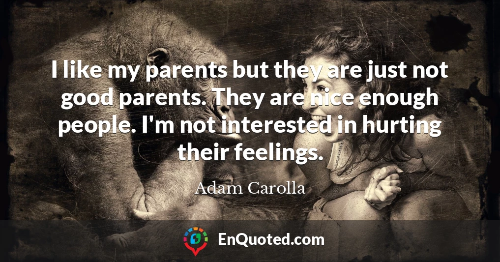 I like my parents but they are just not good parents. They are nice enough people. I'm not interested in hurting their feelings.