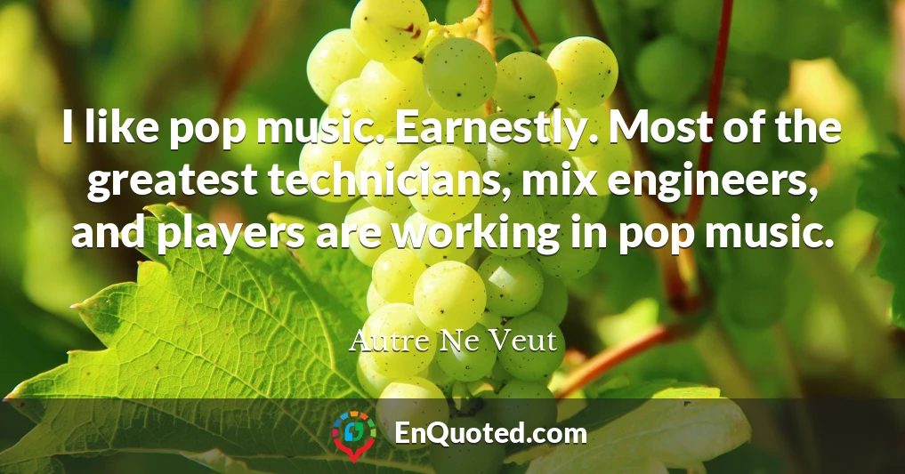 I like pop music. Earnestly. Most of the greatest technicians, mix engineers, and players are working in pop music.