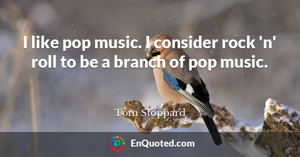 I like pop music. I consider rock 'n' roll to be a branch of pop music.