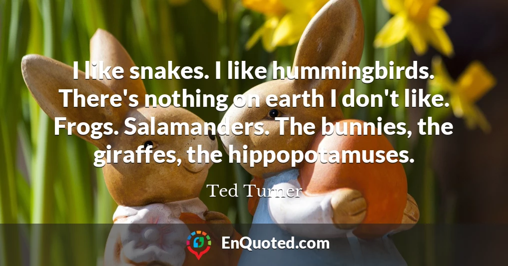 I like snakes. I like hummingbirds. There's nothing on earth I don't like. Frogs. Salamanders. The bunnies, the giraffes, the hippopotamuses.