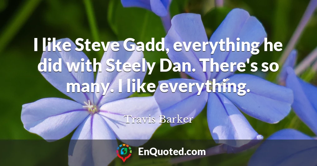 I like Steve Gadd, everything he did with Steely Dan. There's so many. I like everything.