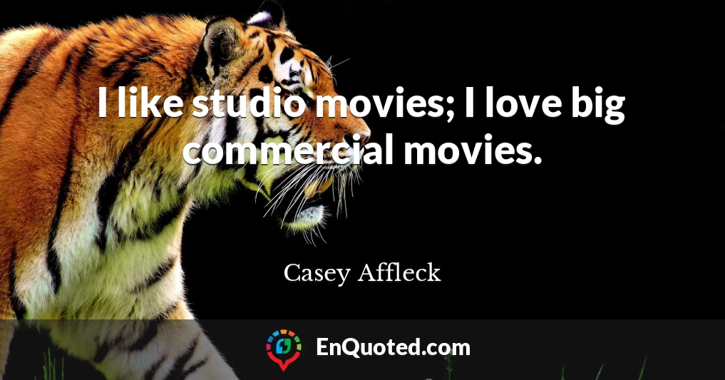 I like studio movies; I love big commercial movies.