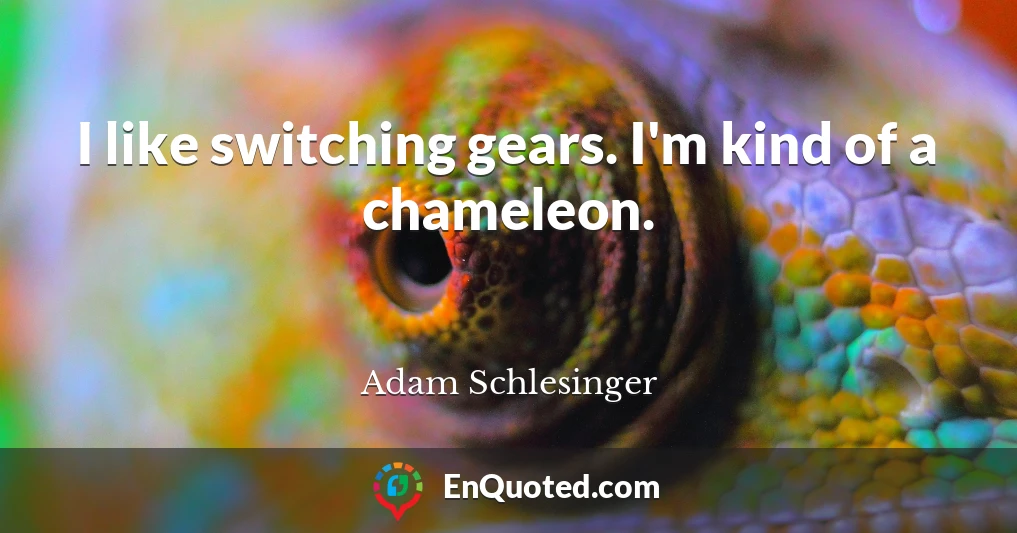 I like switching gears. I'm kind of a chameleon.