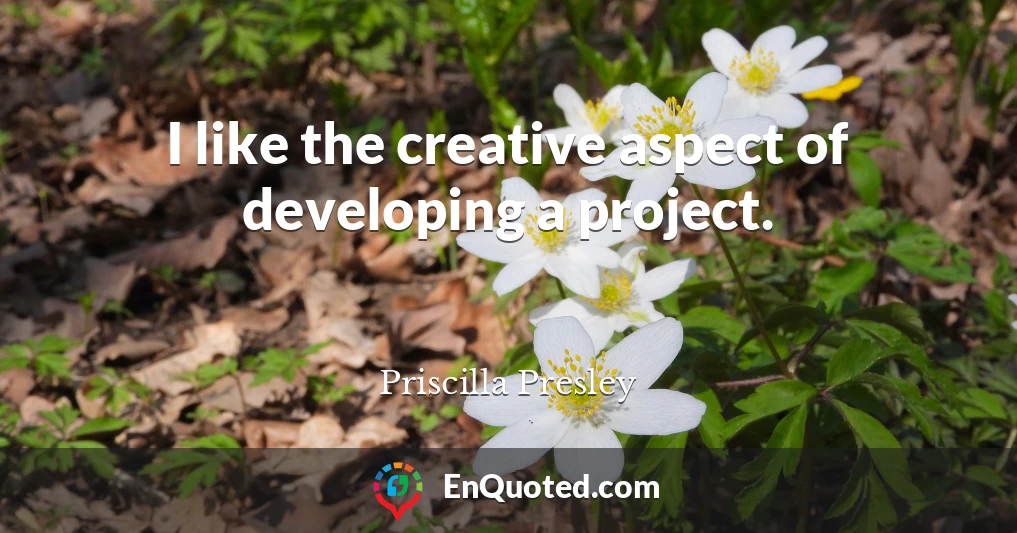 I like the creative aspect of developing a project.