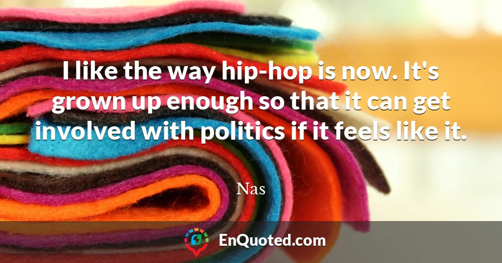 I like the way hip-hop is now. It's grown up enough so that it can get involved with politics if it feels like it.